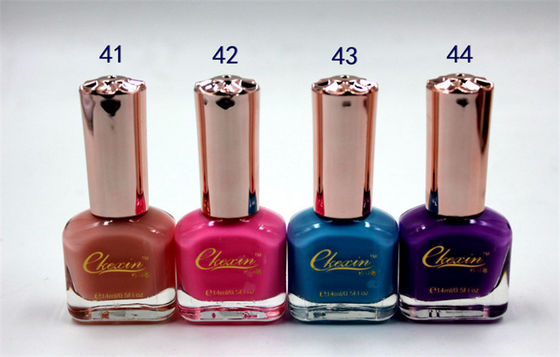 A marca própria personalizou o verniz para as unhas, verniz para as unhas 14ml do gel das mulheres