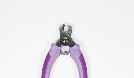 Pet a tosquiadeira de prego para a cor pequena do roxo das tesouras da ferramenta da preparação do cão