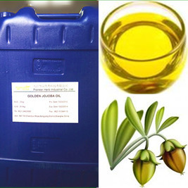 ÓLEO GOLDED DO JOJOBA